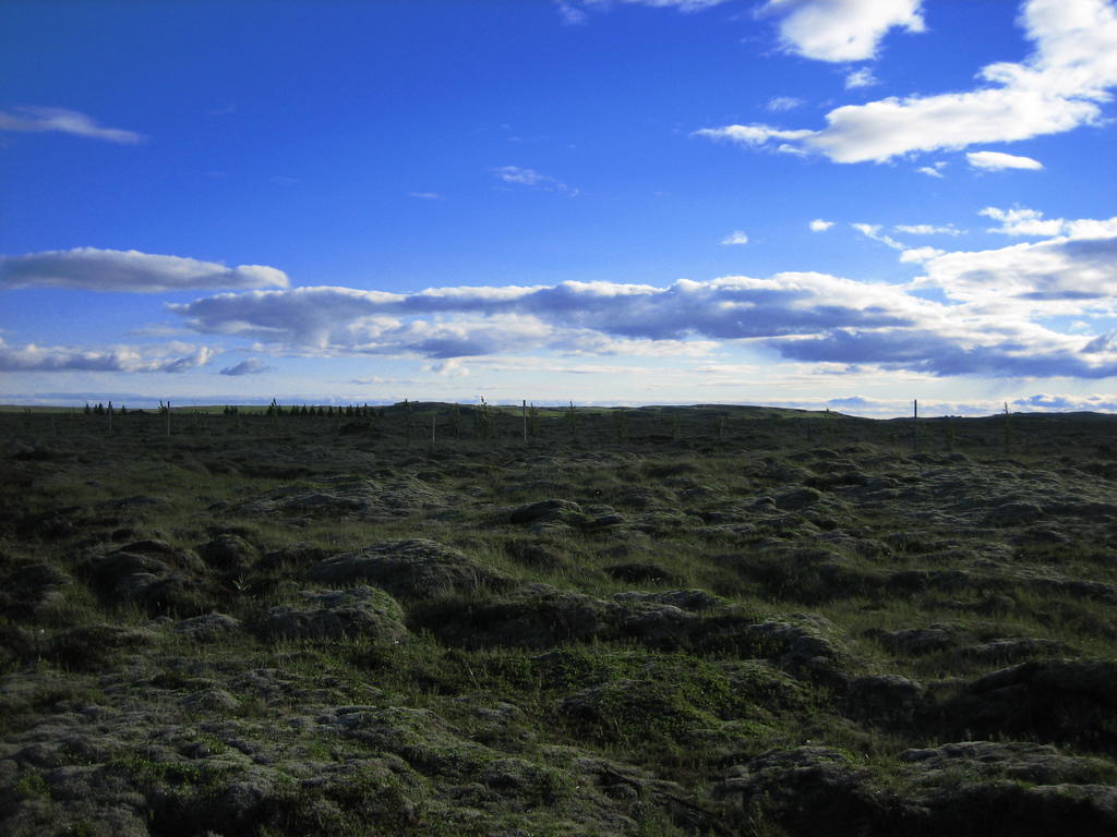 Icelandic Cottages Hraunmork Bagian luar foto